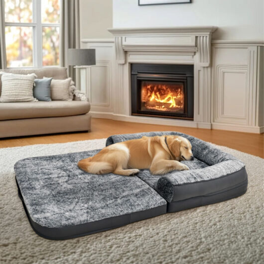 Bingo Paw - BingoPaw Foldable Human Dog Bed for Adult, Orthopedic Foam Faux Fur Dog Bed Sofa Mattress