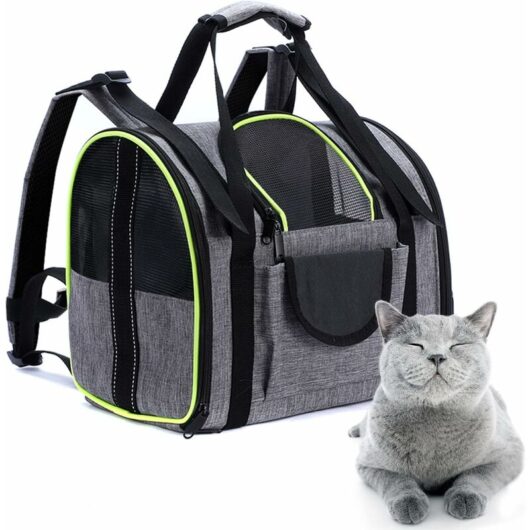 Carrier Bag, Breathable Foldable Dog Carrier, Collapsible Dog Crate with Removable Plush Mattress, for Cat Kitten Puppy Rabbit and Other Pets, Gray