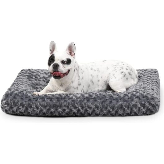 Mumu - Small Dog Bed, Washable Dog Bed, Relaxing Dog Bed, Dog Crate Mattress with Non-Slip Bottom, Soft Anti-Anxiety Dog Beds, Pet Beds, Dog Cushion,