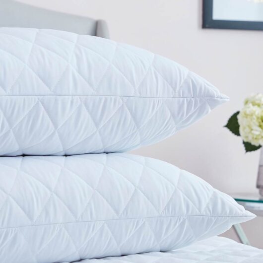 Silentnight Soft as Silk Mattress and Pillow Protector Set White