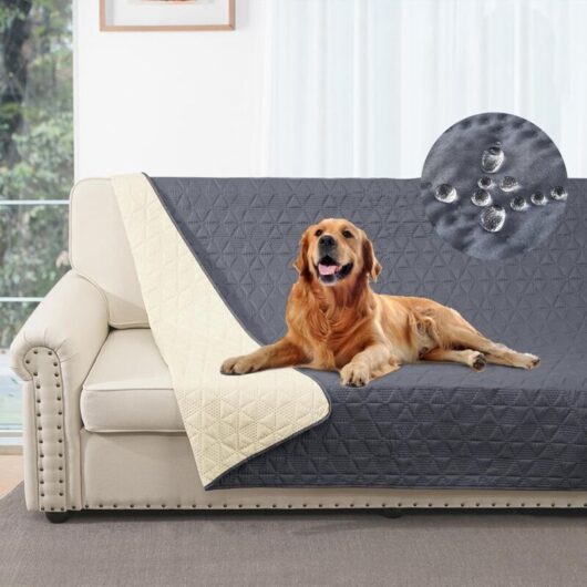 Waterproof Sofa Cover, Bed Cover, Pet Cover, Sofa, Sofa Furniture Cover, Suitable for Children, Dogs, Cats (Grey, 52x82 inch (1 Pack))