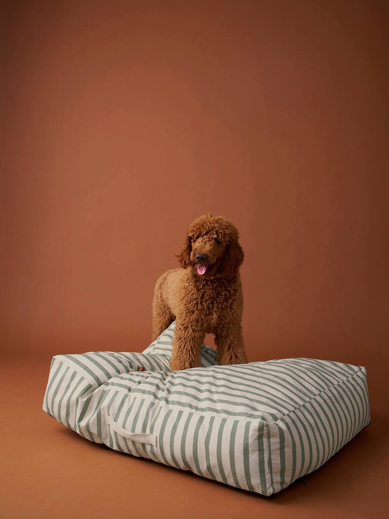 XXL dog mattress FAMILY striped green